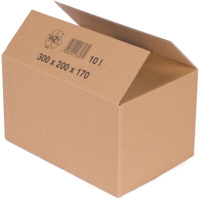 Faltkarton 1.20b 300x200x170 mm