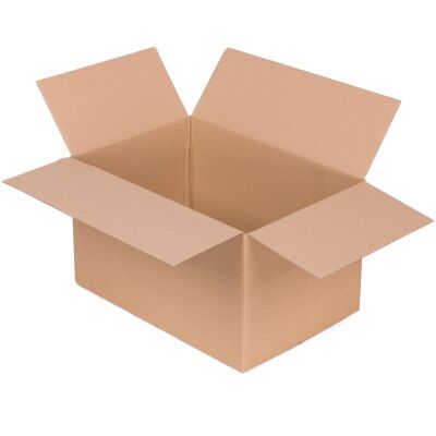 Faltkarton 1.20b 300x200x170 mm
