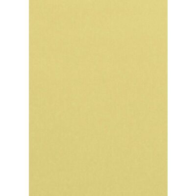 Farbiges Papier A4 80g Chamois 100 Bl