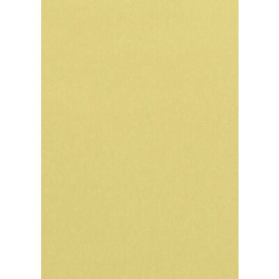 Farbiges Papier A4 80g Chamois 100 Bl