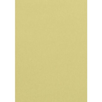 Farbiges Papier A4 120g Chamois 50 Blatt