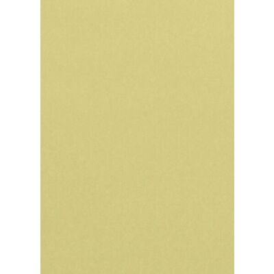 Farbiges Papier A4 120g Chamois 50 Blatt