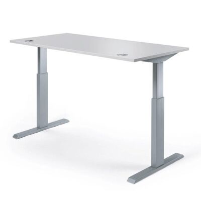 Sitz-/Stehschreibtisch Lichtgrau, Höhe 725 - 1185 mm, Tiefe 800mm, T-Fuß Stahlgestell Alusilber, Melaminharzbeschichtete Tischpatte, Plattenstärke: 25mm, Umleimer aus Kunststoff, 3mm, elektromotorisch höhenverstellbar, max. Belastung: 60kg