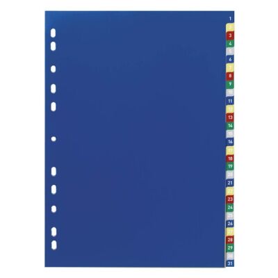Register A4 mit geprägten, farbigen Taben 1-31, EDV Beschriftbares