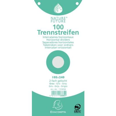 Trennstreifen grau 190g/qm Karton, 105 x 240 mm, gelocht