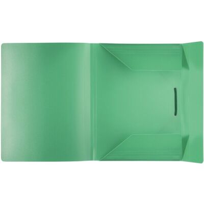 PP-Eckspanner-Sammelbox grün 320 x 230 x 16 mm (HxBxT)