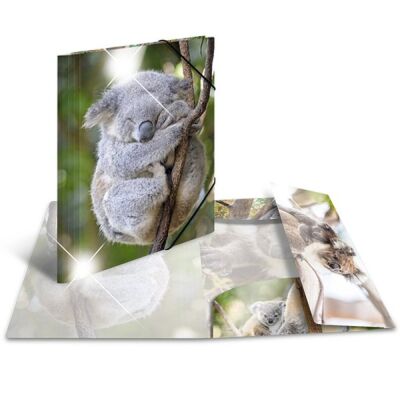 Sammelmappe Glossy Tiere A4, PP,  Koala
