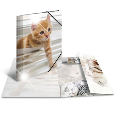 Sammelmappe Glossy Tiere A4, PP,  Katzen