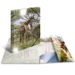 Sammelmappe Glossy Tiere A3, PP,  Giraffe