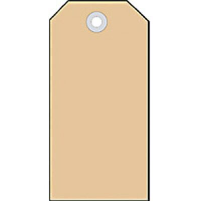 Anhängezettel 35 x 60 mm, mit Kunststofföse, Packung à 1000 Stück