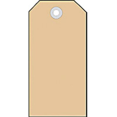 Anhängezettel 45 x 90 mm, mit Kunststofföse, Packung à 1000 Stück