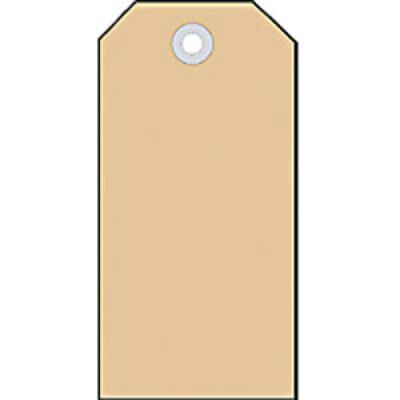 Anhängezettel 60 x 113 mm, mit Kunststofföse, Packung à 1000 Stück