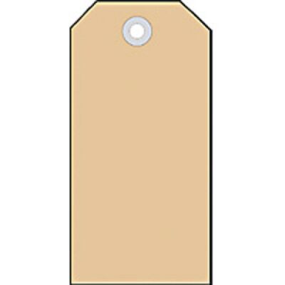 Anhängezettel 48 x 95 mm, mit Pappöse, Packung à 1000 Stück