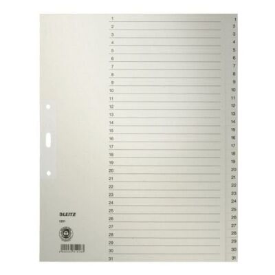 Papierregister A4, Überbreite, Tabe: 1-31, 2-fach Lochung, hellgrau, Tauenpapier, Maße: 240 x 300 mm