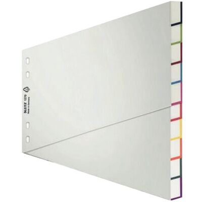 Plastikregister A4 Schrägregister, Überbreite, Tabe: blanko, 10tlg., Universallochung, grau, Maße: 297 x 240 mm