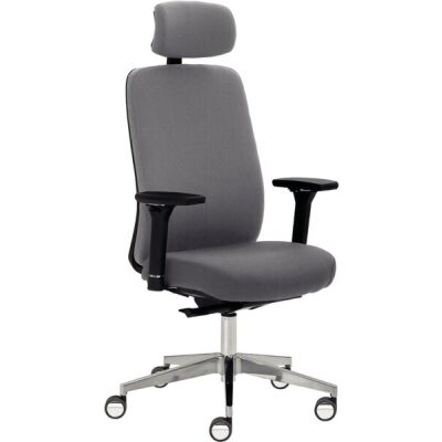 Drehstuhl myTRITON, ergonomisch, Kopfstütze, grau, hoher Rücken