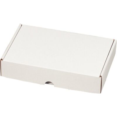 Maxibriefkarton, wieder verschließbar, Innenmaß: 225 x 155 x 45 mm, weiß