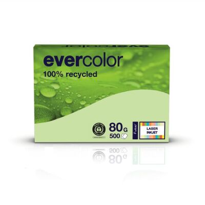 Kopierpapier Evercolor hellgrün, A4, 80 g/qm, aus 100 % Altpapier, 1 Packung = 500 Blatt, ausgezeichnet mit dem Blauen Engel