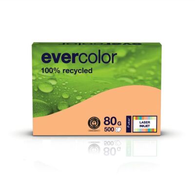 Kopierpapier Evercolor lachs, A4, 80 g/qm, aus 100 % Altpapier, 1 Packung = 500 Blatt, ausgezeichnet mit dem Blauen Engel