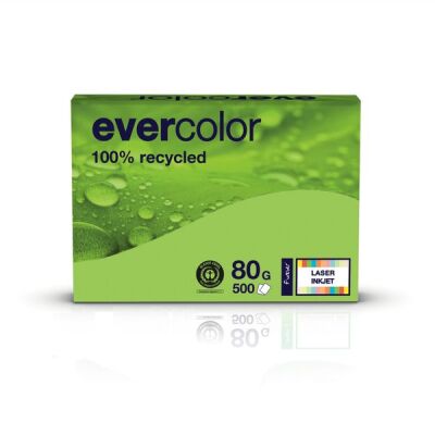 Kopierpapier Evercolor lindgrün, A4, 80 g/qm, aus 100 % Altpapier, 1 Packung = 500 Blatt, ausgezeichnet mit dem Blauen Engel