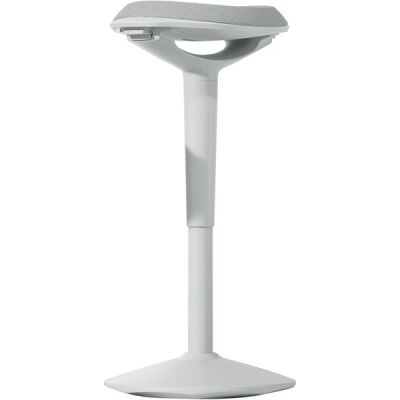 ERGO BOOST Balancehocker weiß, höhenverstellbar, weiß/grau