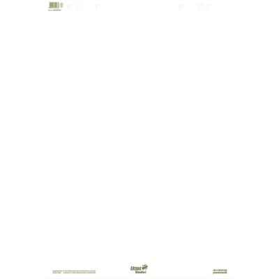 Green Flip Chart Block, 68 x 99 cm, blanko, 20 Blatt, 80 g/qm