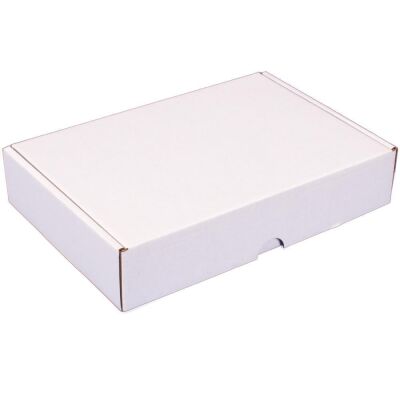 Maxibriefkarton 240x160x48 mm weiß