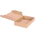 Maxibriefkarton 240x160x50 mm