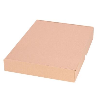 Maxibriefkarton 350x250x50 mm