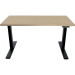 Tisch E-WonderTech, höhenverstellbar, 2 Motoren, (H...