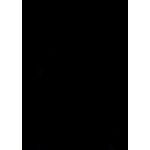 Rückwände, DIN A4, Chromo glossy, schwarz,...