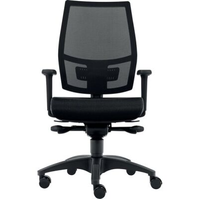 Bürodrehstuhl Ergo Mesh, Nutzergewicht bis 100 kg, mit 2D-Armlehnen, DIN-Komfort-Sitz, Teppichbodenrollen, schwarz