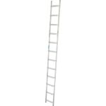 DACHLEITER ALU 12 SPROSSEN