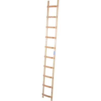 DACHLEITER HOLZ 10 SPROSSEN