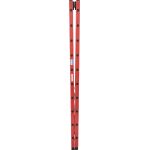 VOLLKUNSTSTOFF-SPROSSEN-DOPPELLEITER 2x10 SPROSSEN