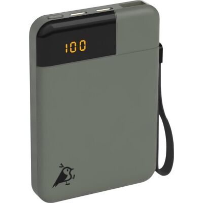 Aqiila POWERBIRD B5, Powerbank 12W, 5.000 mAh, USB-C, USB-A, für 3 Geräte parallel, grün