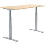 Schreibtisch FLEX MODUL, T-Fuß-Gestell in...