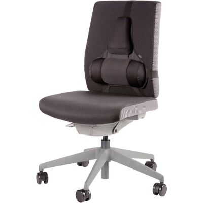 Rückenstütze Professional Series, Memory Foam Kissen, schwarz