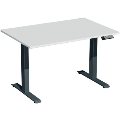 Elektro-Hubtisch Elevate Basic, höhenverstellbar, (H x B x T) 730-1230 x 800 x 1200 mm, lichtgrau/anthrazit