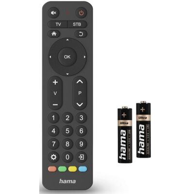 Uni-Fernbedienung TV, für 2 Geräte