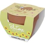 Blumentopf mit Blume Motiv Faultier