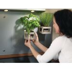 Klebepads Powerstrips® SMALL,  rückstandslos...