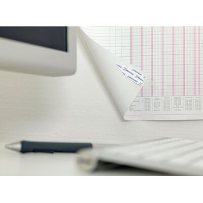 Klebepads Powerstrips® POSTER, Haltekraft max. 200 g, rückstandslos entfernbar