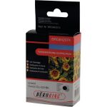 Doppelpack Tintenpatrone, ersetzt Canon (PGI-520BK,...