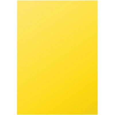 Kopierpapier Farbiges Papier, DIN A4, 80g/qm, 100 Blatt