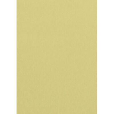 Kopierpapier Farbiges Papier DIN A4, 120g/qm, 50 Blatt