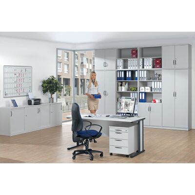 Schreibtisch Basic, (H x B x T) 740 x 1600 x 800 mm, T-/C-Fuß-Gestell, Sichtschutzblende