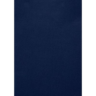 Club-Sofa, Echtleder