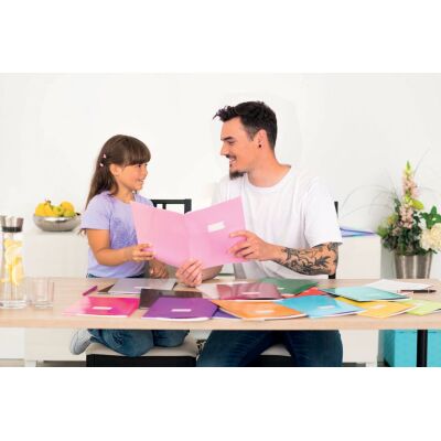 Heftschoner, DIN A4, extrastarker Karton, stabil, glänzend, mit Beschriftungsetikett