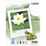Collegeblock "RC", 80 Blatt, 70g/qm, 6-fach...